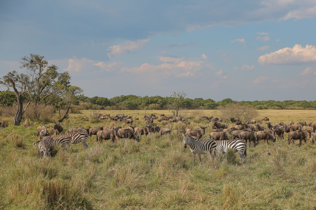 Beyond the Maasai Mara: 4 Hidden Wilderness Gems in Kenya You Must Experience