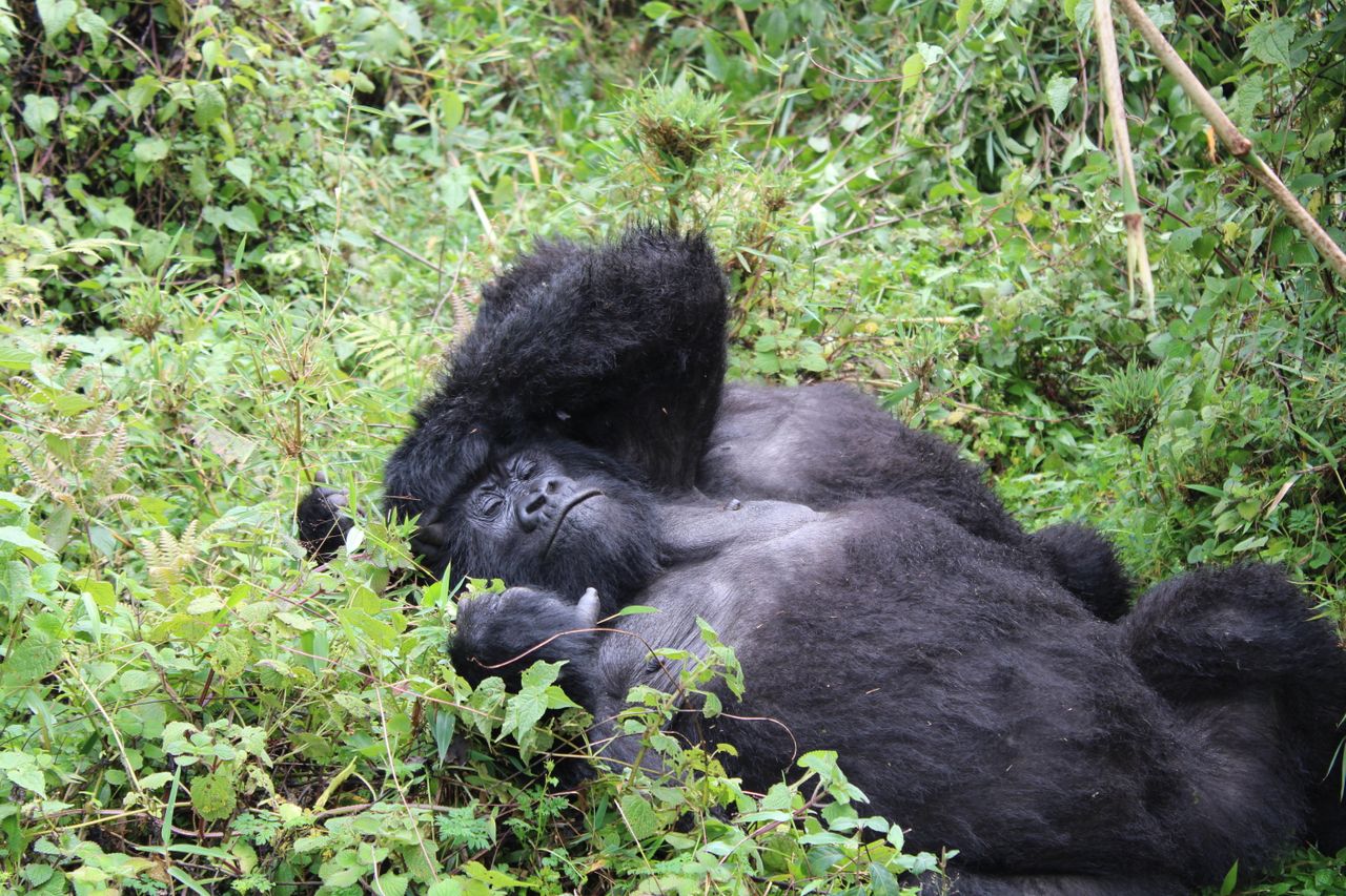 Rwanda