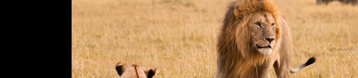 5-Day Masai Mara, Nakuru, Naivasha Group Joining Safari